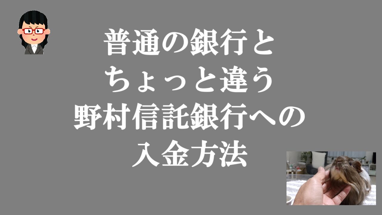 普通の銀行とちょっと違う野村信託銀行への入金方法