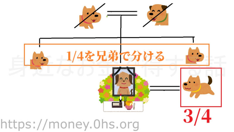 子・孫・ひ孫・両親がなくて配偶者・兄弟がいる場合の遺産相続