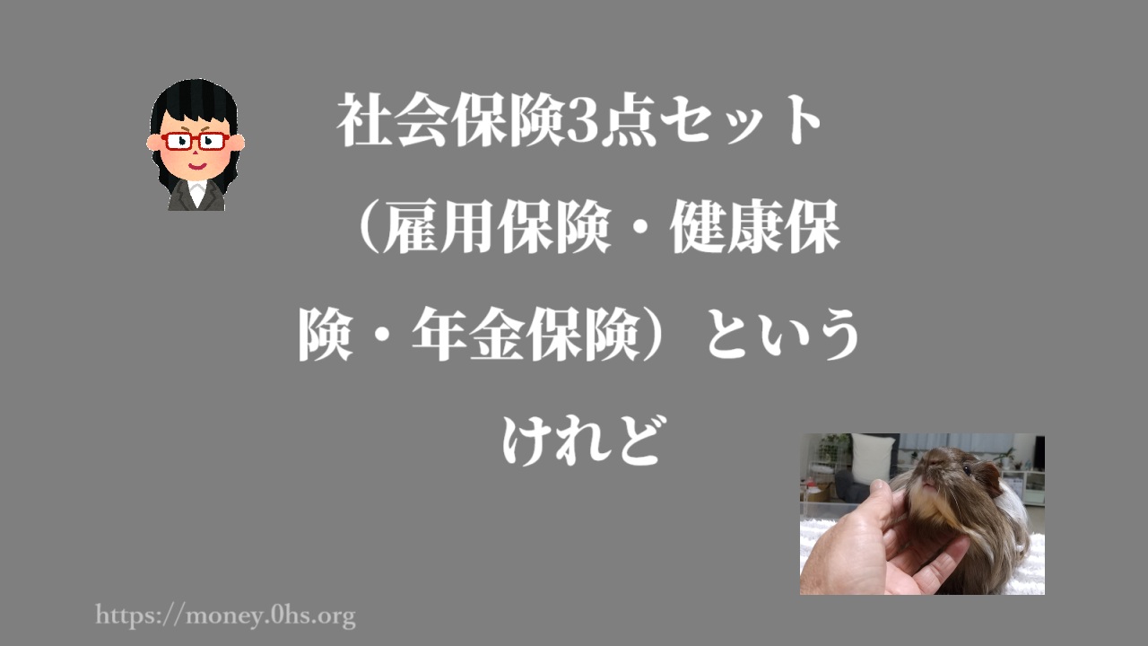 社会保険3点セット（雇用保険・健康保険・年金保険）というけれど
